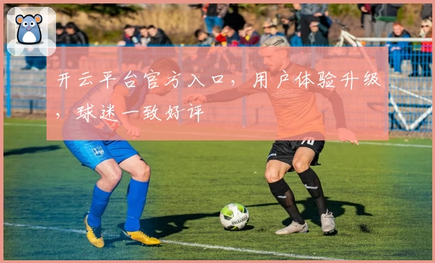 开云平台官方入口，用户体验升级，球迷一致好评