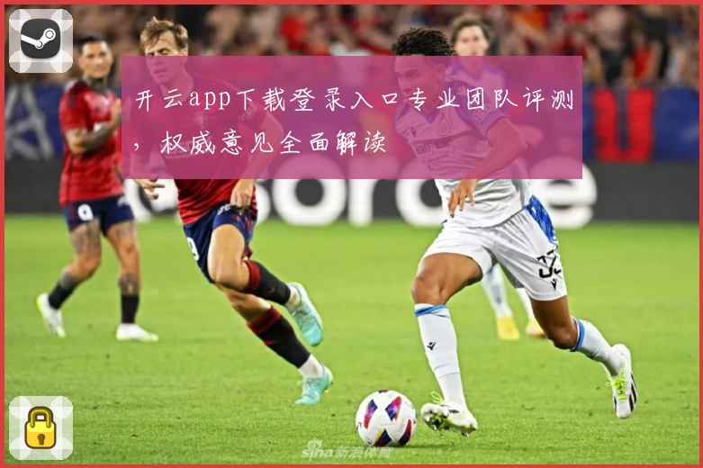 开云app下载登录入口专业团队评测，权威意见全面解读