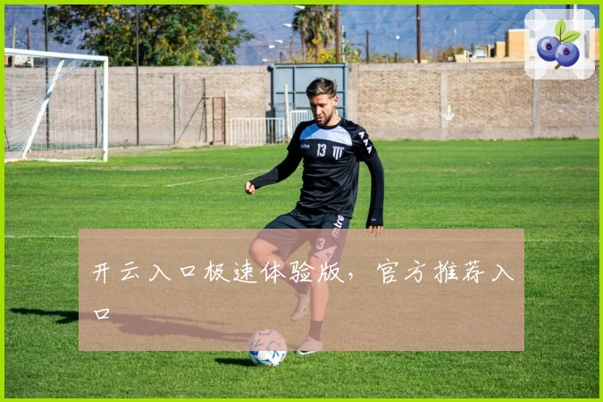 开云入口极速体验版，官方推荐入口