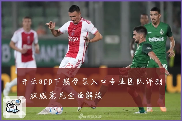 开云app下载登录入口专业团队评测,权威意见全面解读