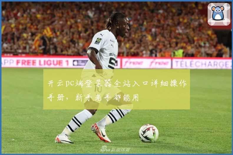 开云pc端登录器全站入口详细操作手册，新手老手都能用